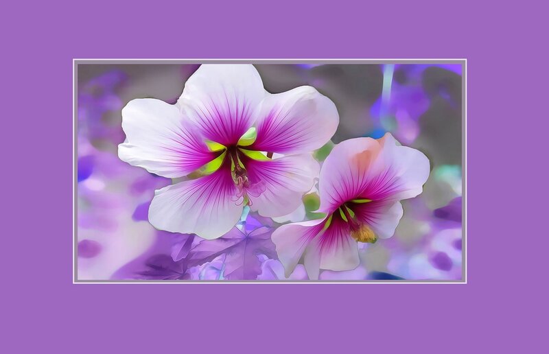 Two Purple Flowers — Serene, Digital Art