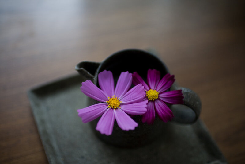 Two Purple Flowers — Serene