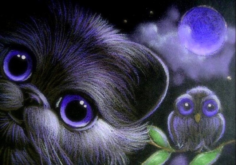 Two Purple Owls