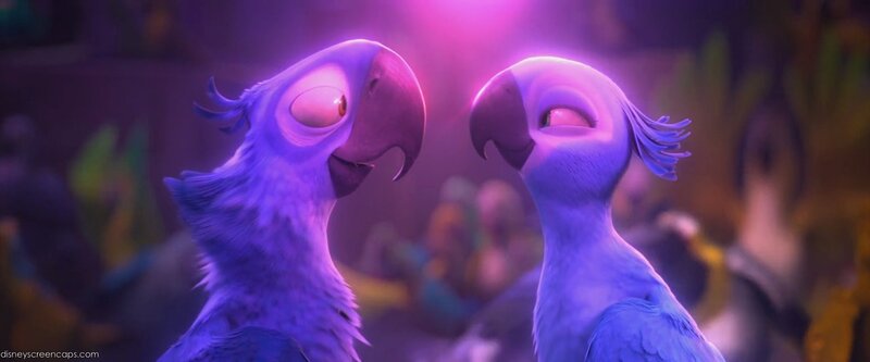 two purple parrots in a crowd