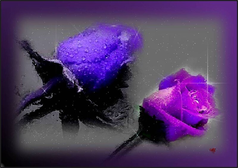 Two Purple Roses — Dreamy, Digital Art, Flowers