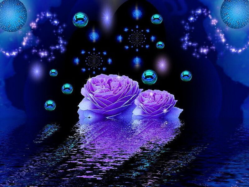 Two Purple Roses — Dreamy