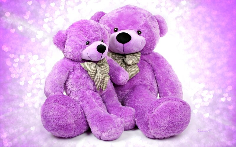 Two Purple Teddy Bears