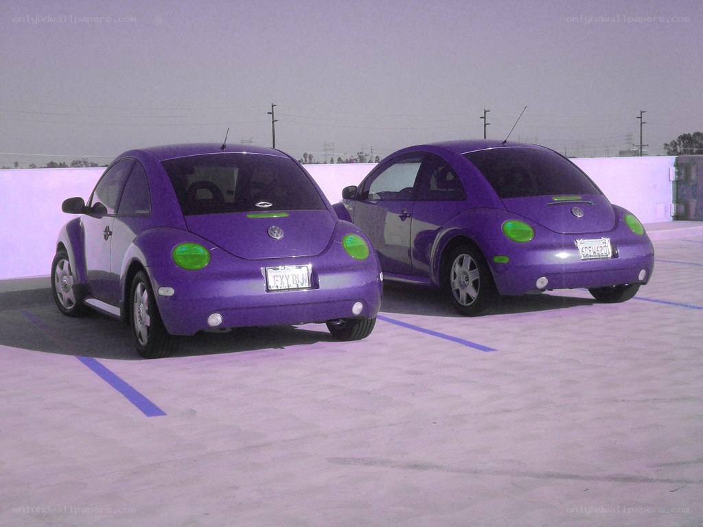 Two purple Volkswagen Beetles