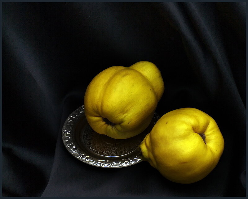 Two Quinces on Plate
