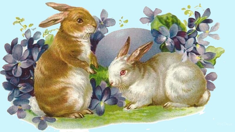 Two Rabbits in Flowers