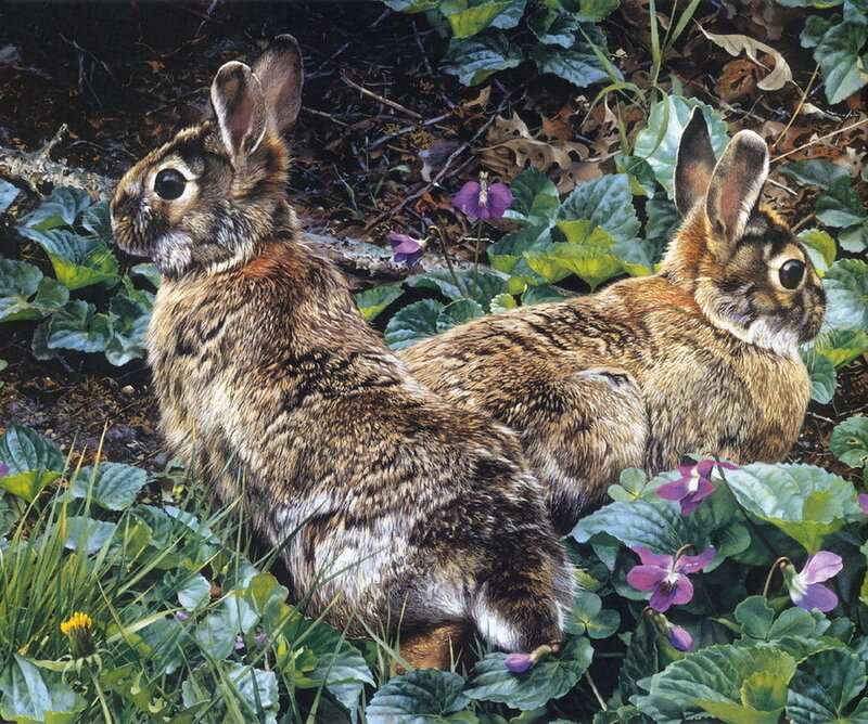Two Rabbits in Foliage