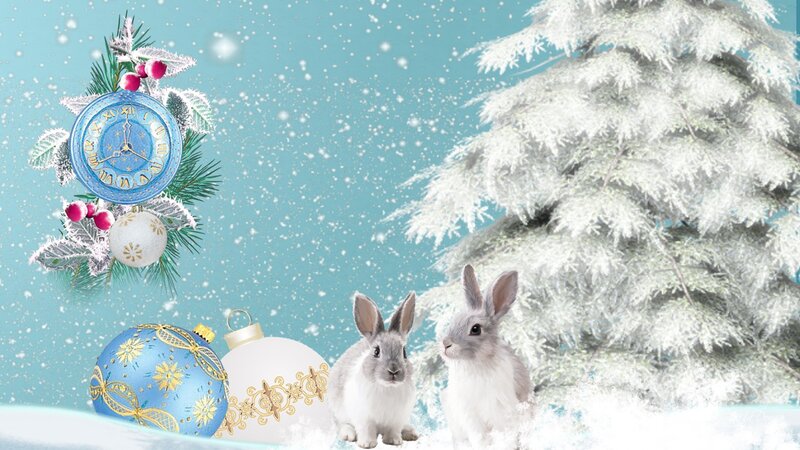 Two Rabbits in Snow — Blue
