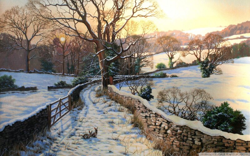 Two Rabbits in Snow — White, Serene, Winter