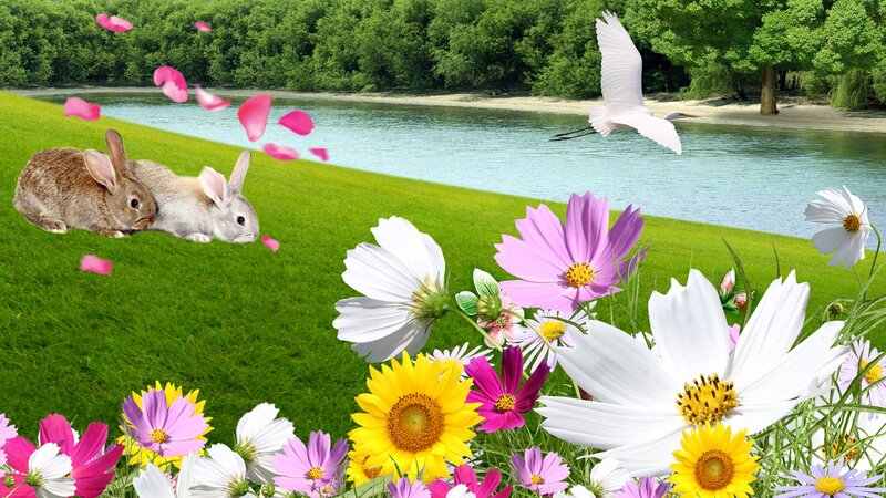 Two Rabbits on Grass — Green