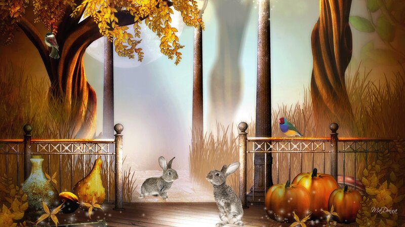 Two Rabbits on Porch