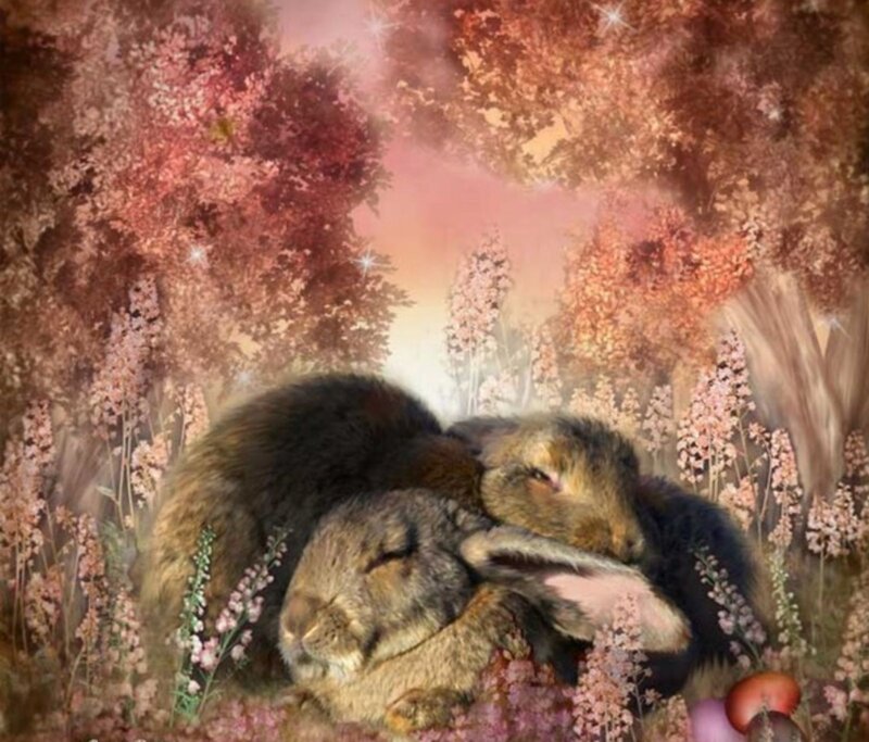 Two Rabbits Sleeping — Pink