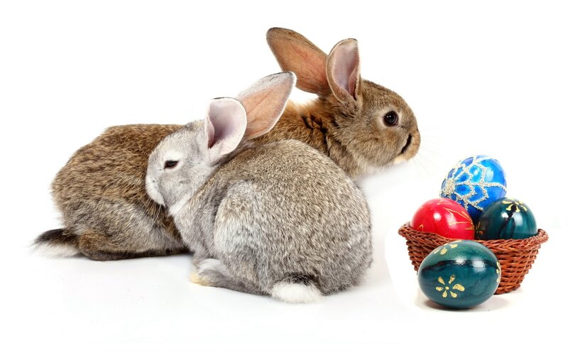 Two rabbits with Easter eggs