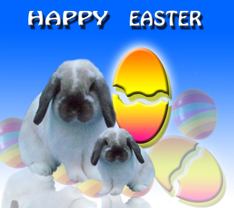 Two Rabbits with Eggs