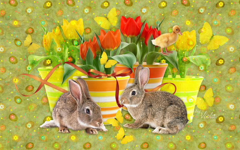 Two Rabbits with Flowers