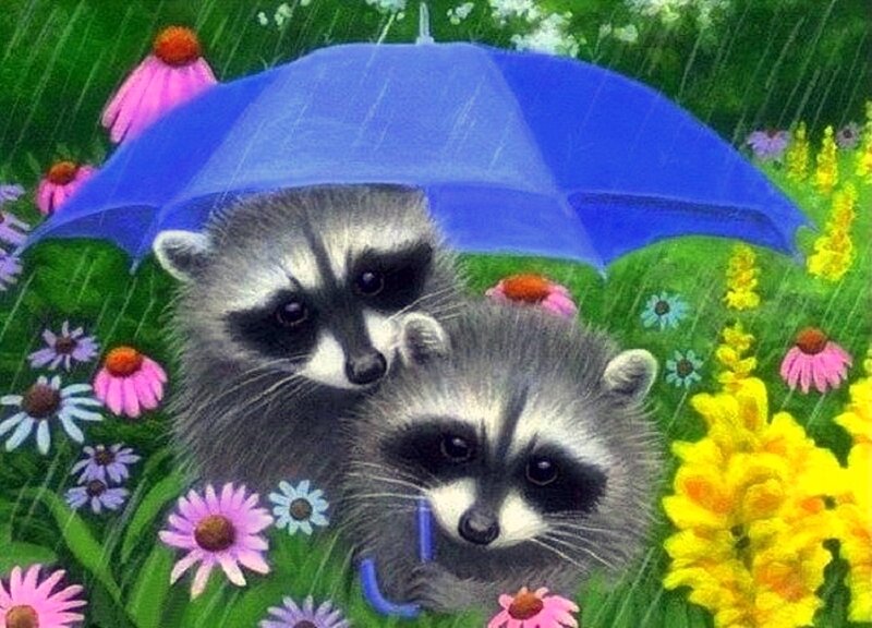 Two Raccoons under Umbrella