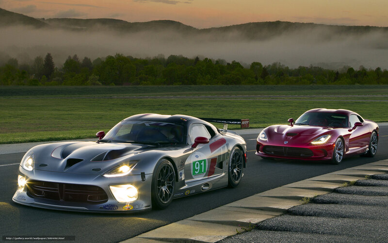 Two Race Cars on Track — Silver, Dramatic, Sunset