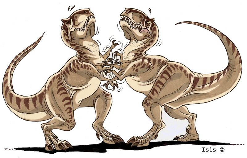 Two Raptors Fighting