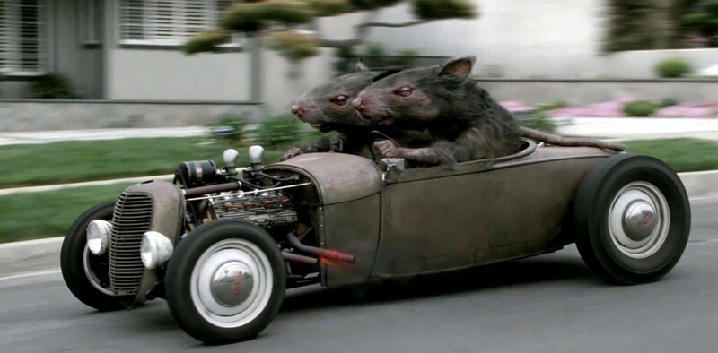 Two Rats in a Car