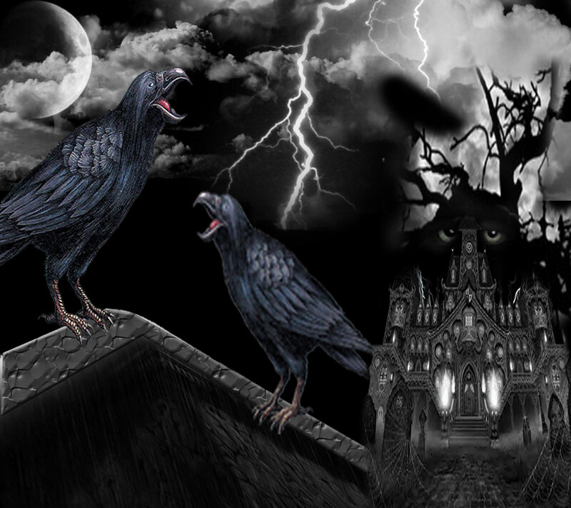 Two Ravens on Roof
