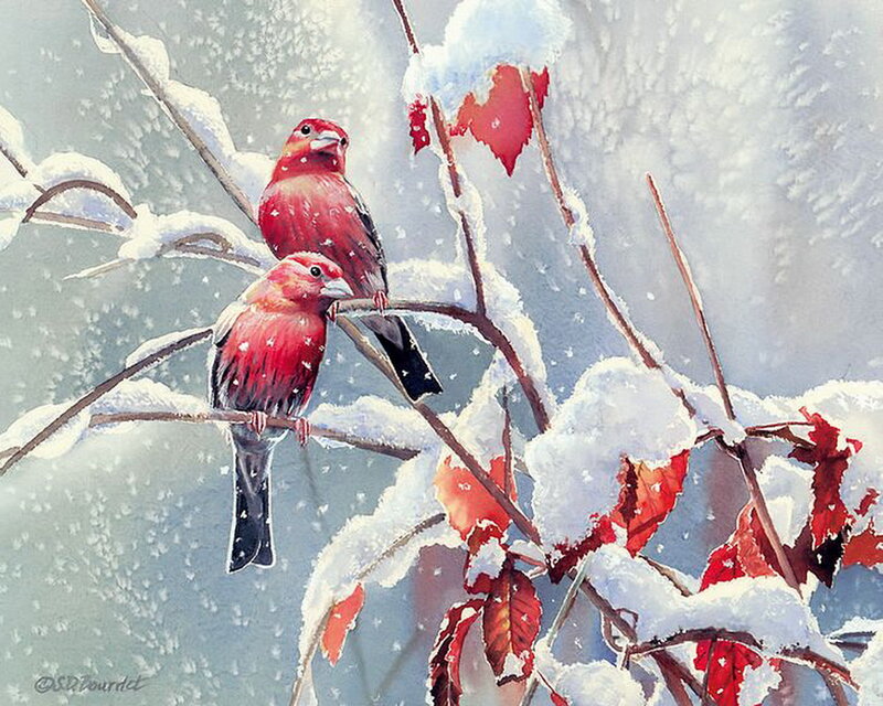 Two Red Birds on Branch — Serene, Winter