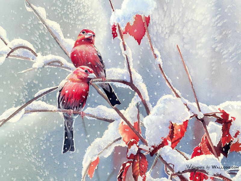 Two Red Birds on Branch
