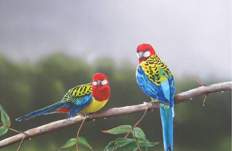 Two Red-capped Parrots — Red