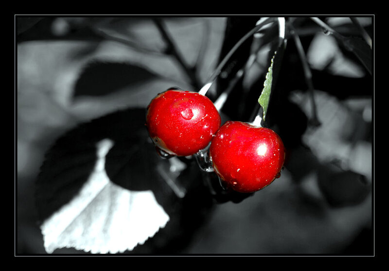 Two Red Cherries — Dramatic, Photograph