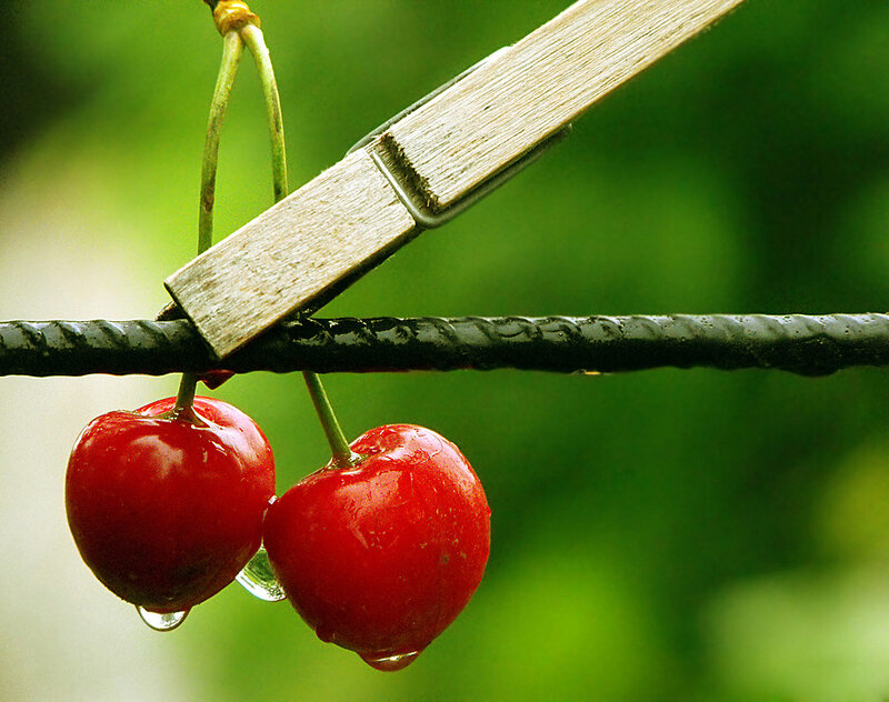 Two Red Cherries — Natural
