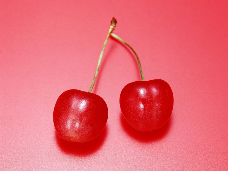 Two red cherries on pink