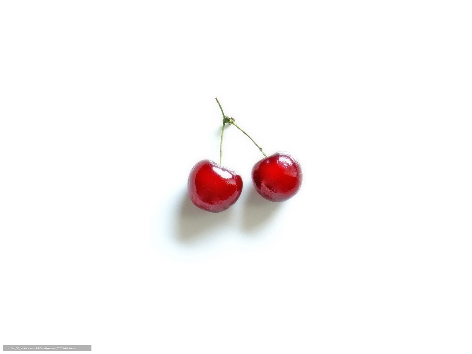 two red cherries on white