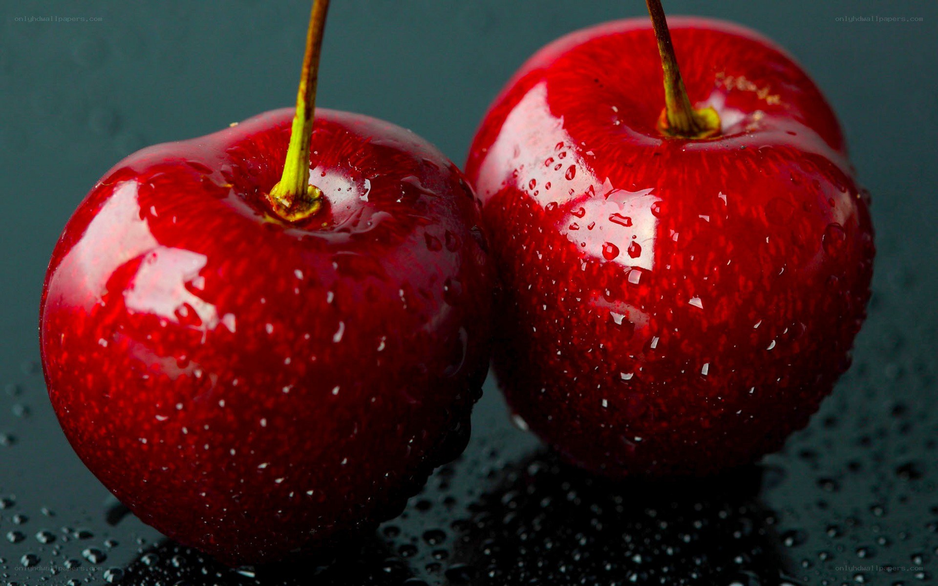 Two red cherries with water droplets