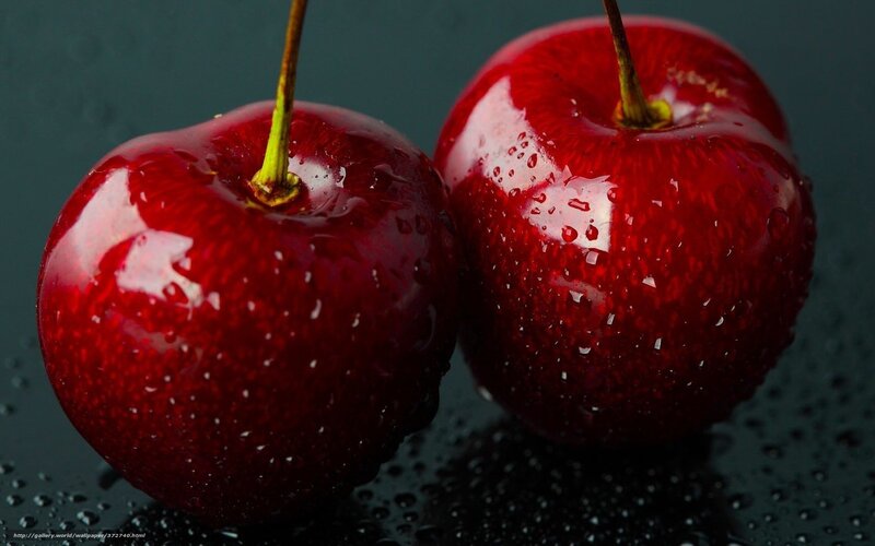 Two red cherries with water droplets