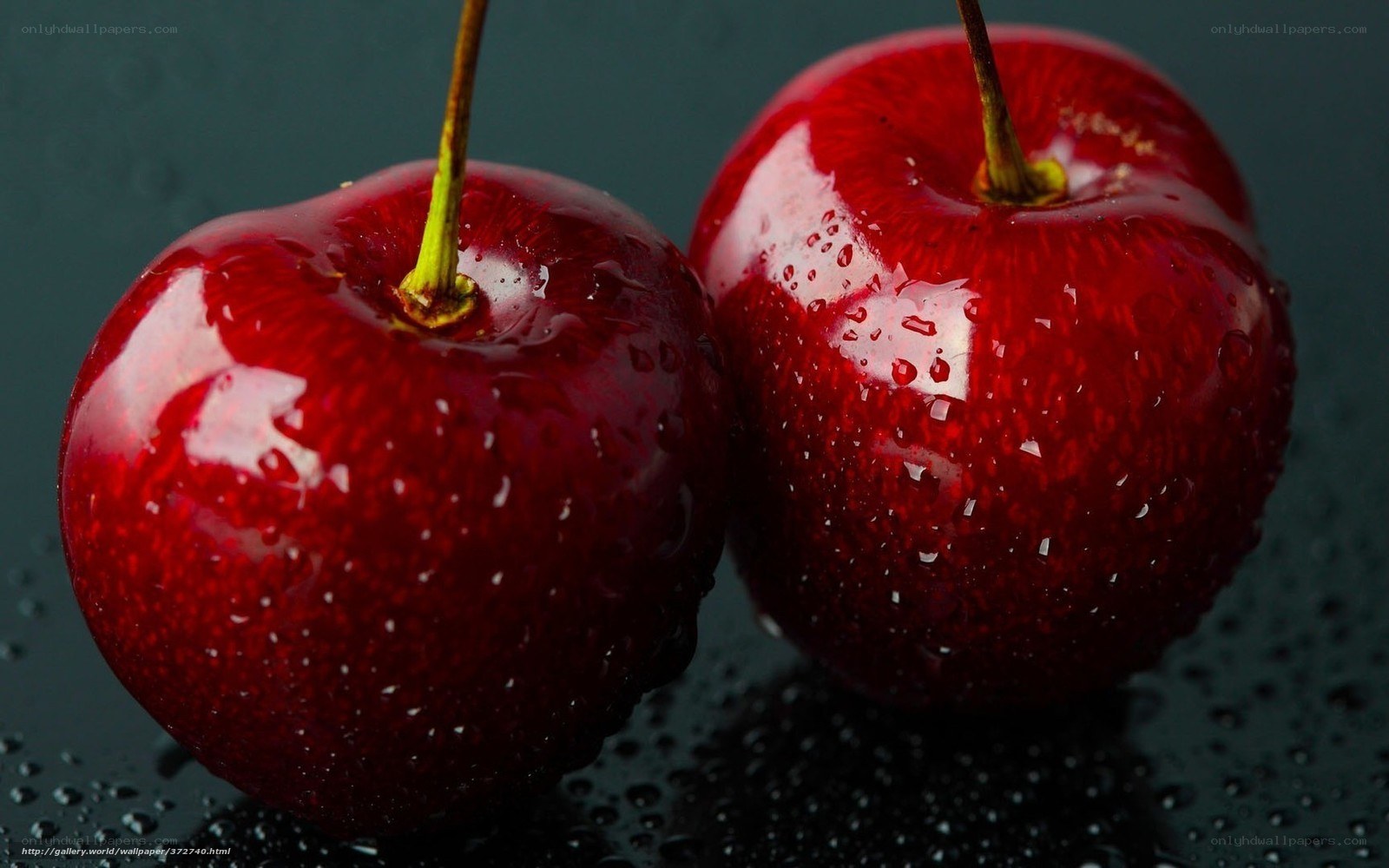Two red cherries with water droplets