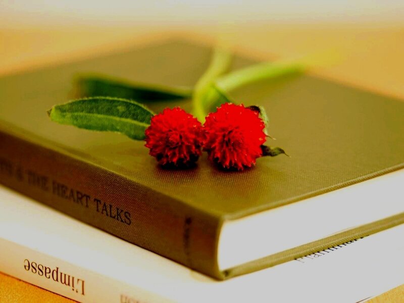 Two Red Flowers on Book