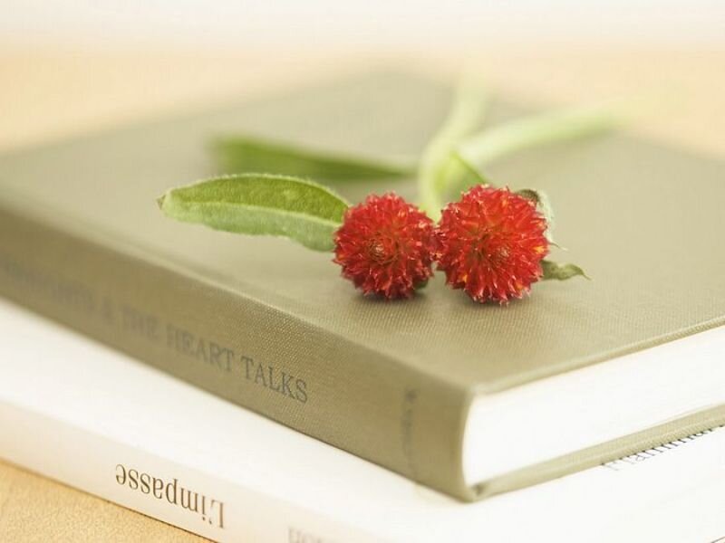 Two Red Flowers on Books