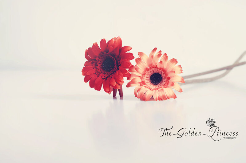 Two Red Flowers