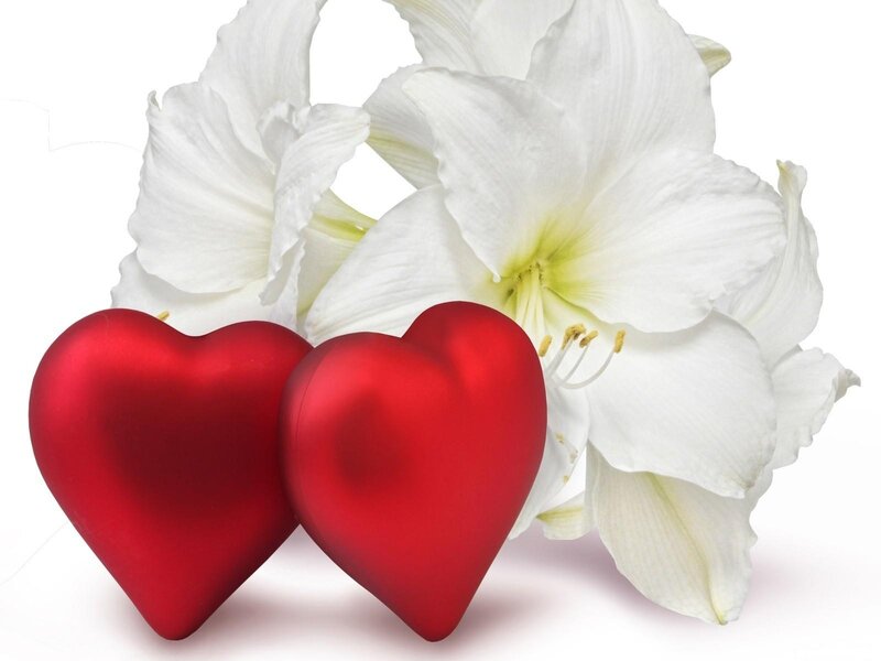 Two Red Hearts and White Flowers — Serene