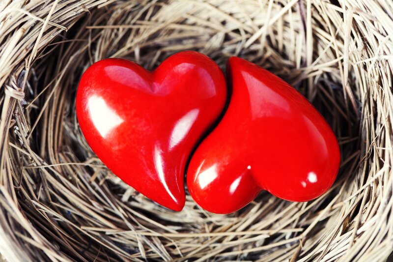 Two Red Hearts in Nest