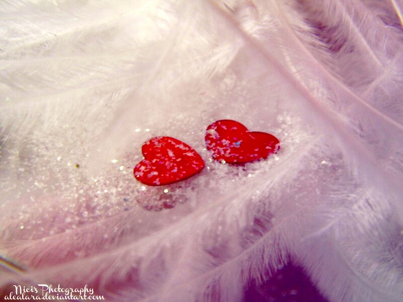 Two Red Hearts on Feathers