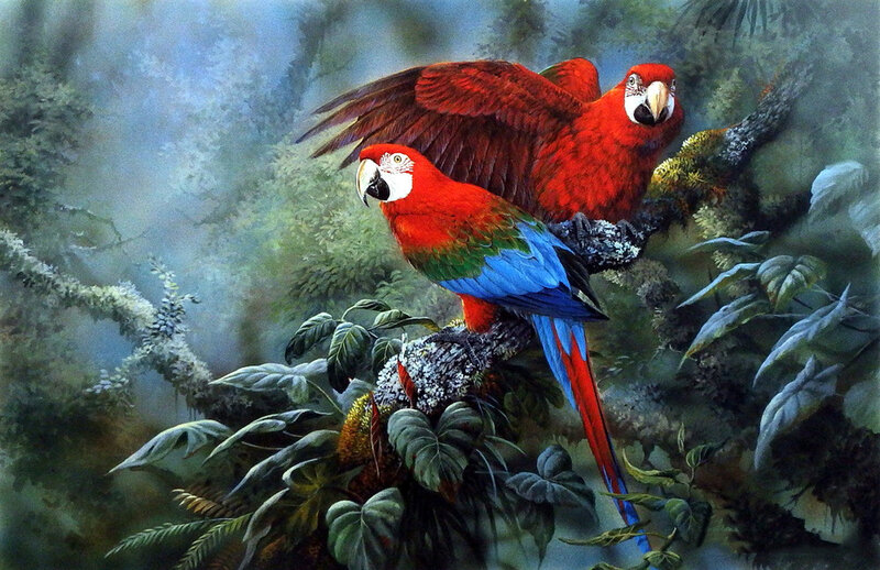 Two Red Macaws on Branch — Serene, Painting