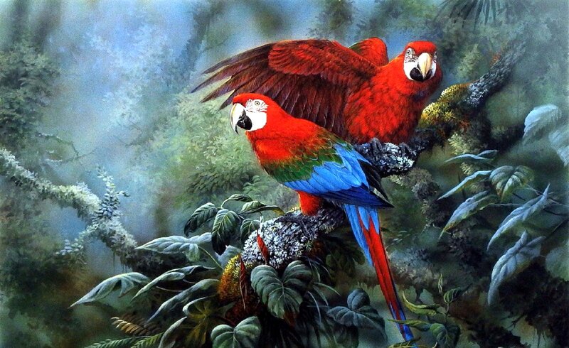 Two Red Macaws — Serene, Painting