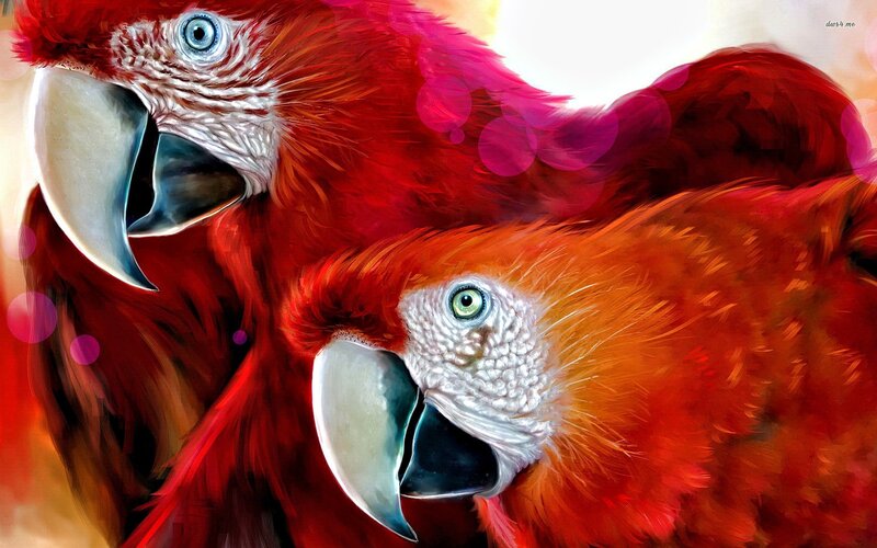 Two Red Macaws — Vibrant, Digital Art, Birds