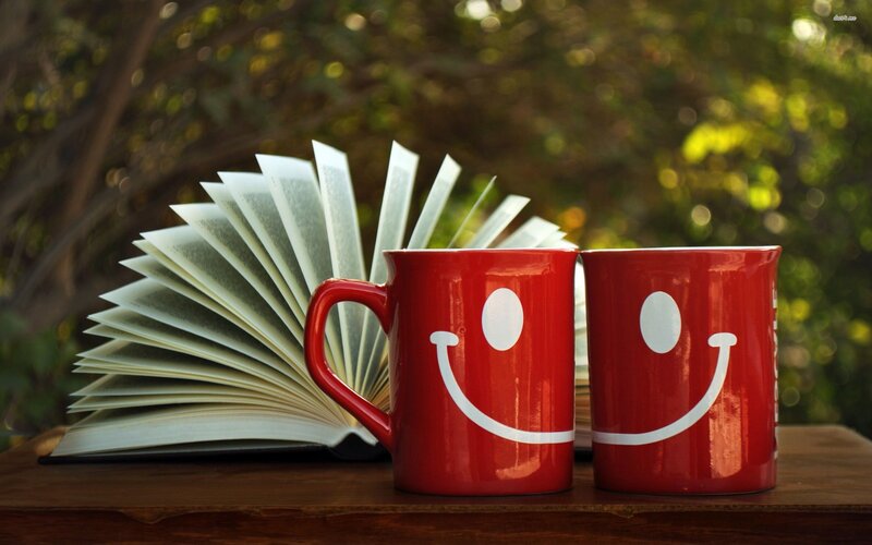 Two Red Mugs and Book — Calm, Afternoon
