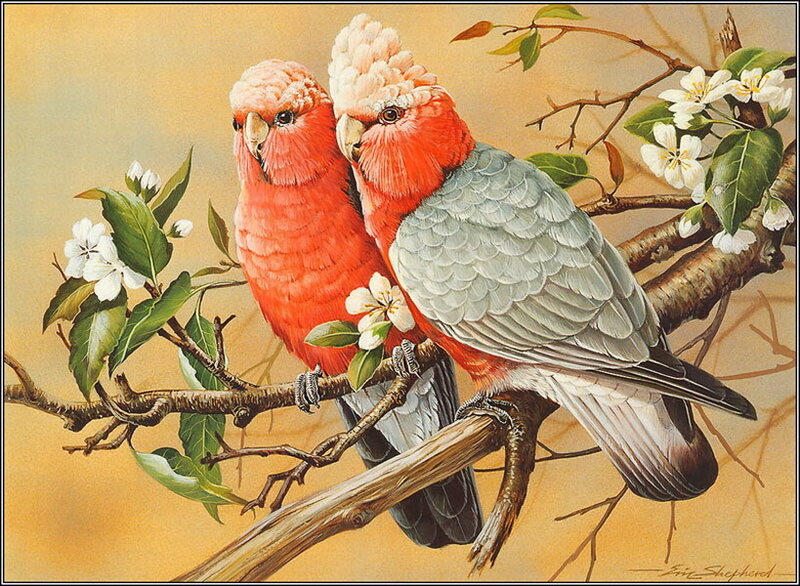 Two Red Parrots on Branch — Serene