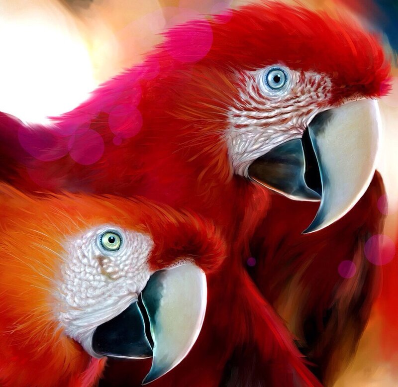 Two Red Parrots — Vibrant, Digital Art, Birds