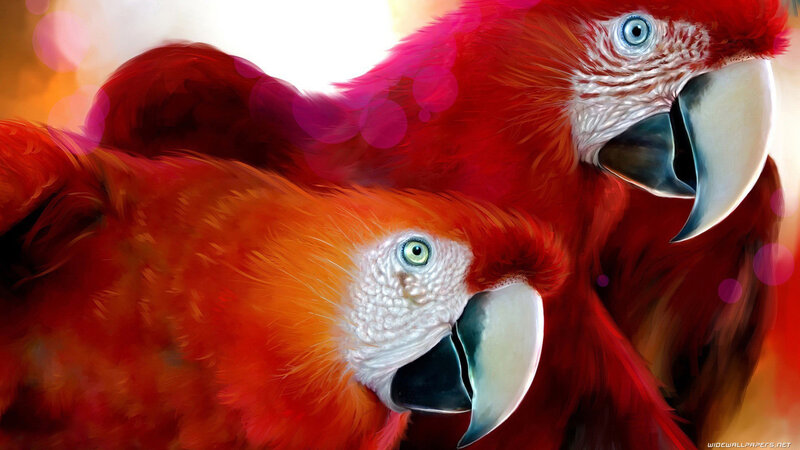 Two Red Parrots — Vibrant, Digital Art, Eyes