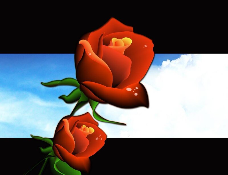 Two red roses against sky