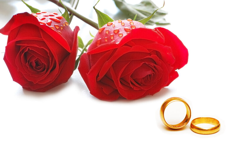 Two Red Roses and Rings — Romantic, Photograph