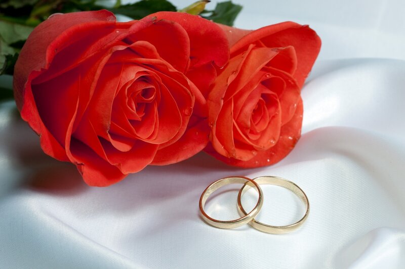 Two Red Roses and Rings — Romantic